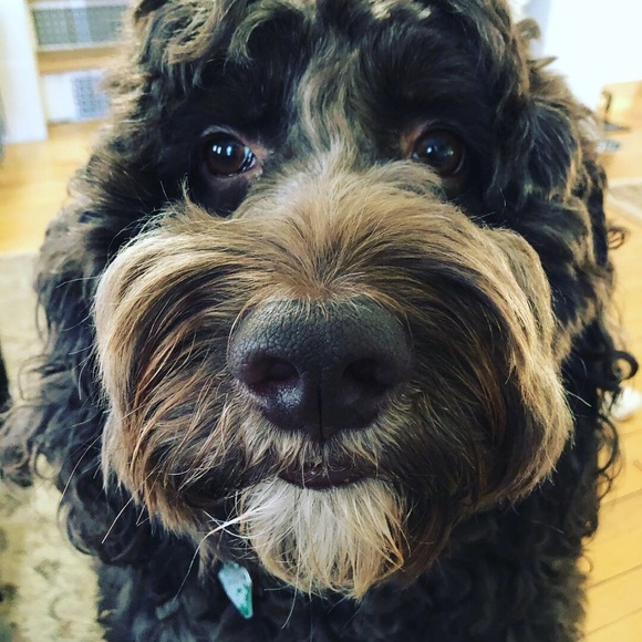 Meet your Posher, Mel - Picture 4 of 4